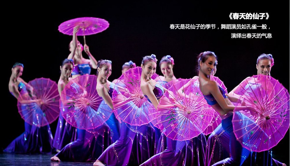 地产项目景观示范区开放（漫步城市慢道萌宠 百鸟展 主题）活动策划方案