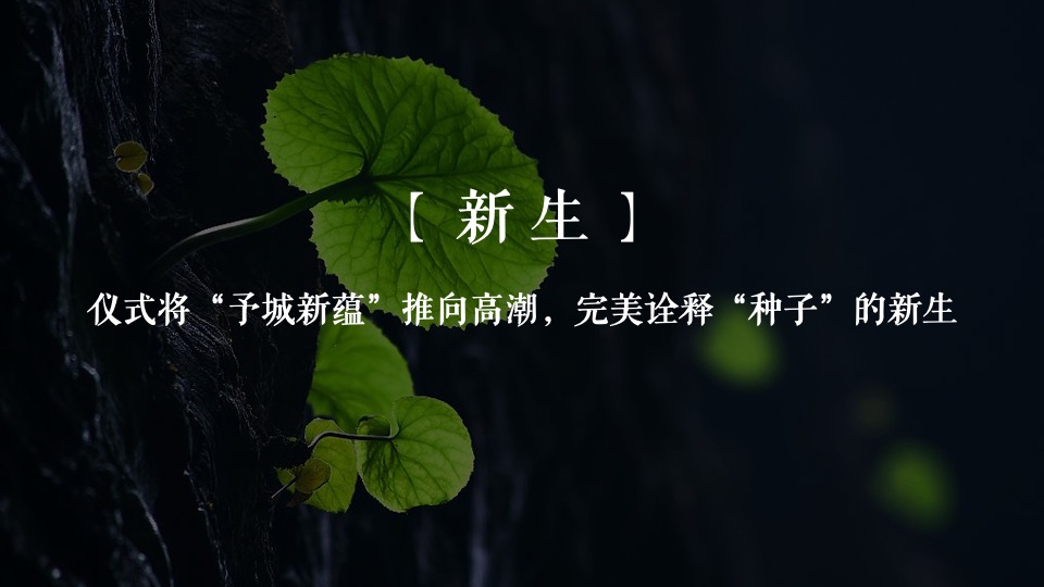 地产项目奠基仪式活动策划方案