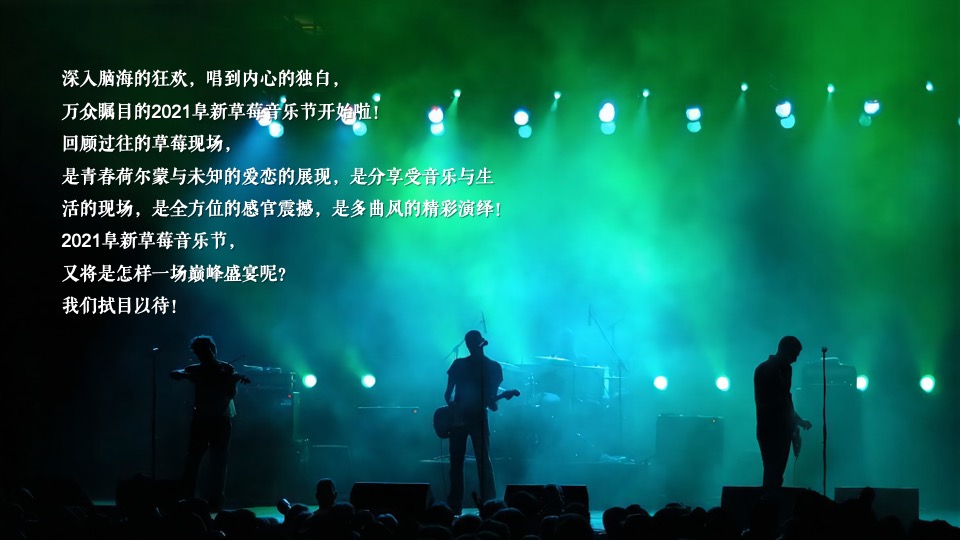 草莓音乐节活动复盘方案