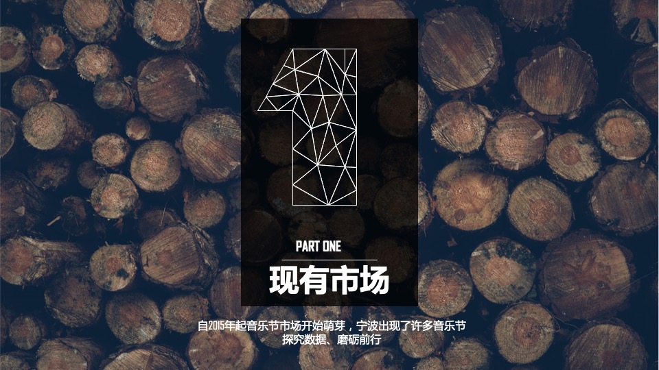 华润浮岛音乐节策划案