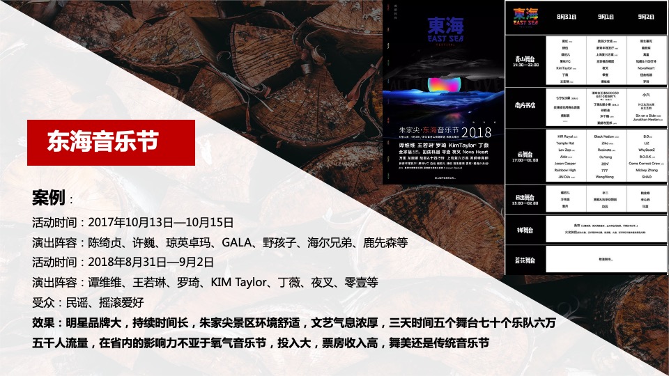 华润浮岛音乐节策划案