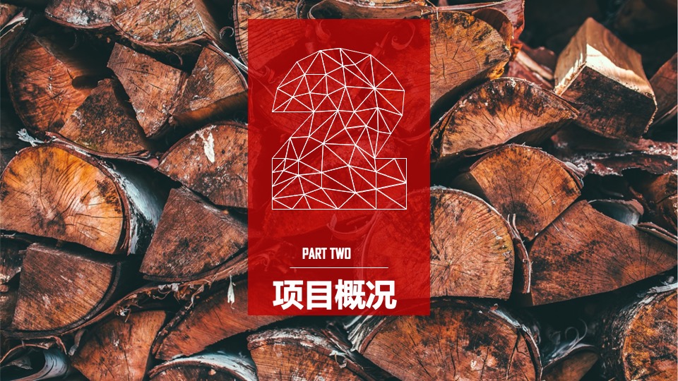 华润浮岛音乐节策划案