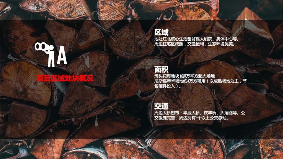 华润浮岛音乐节策划案