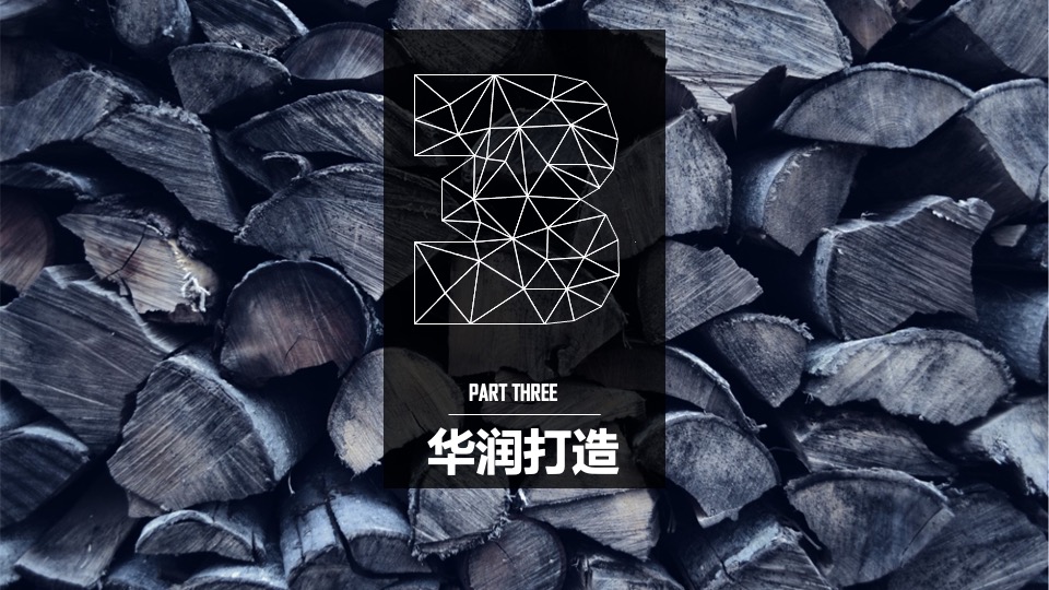 华润浮岛音乐节策划案