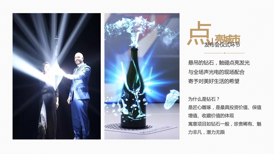 地产项目品牌发布会（匠墅时代臻生活主题）活动策划方案