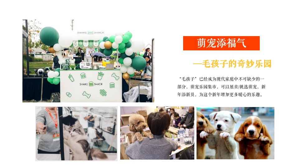 商业地产虎年新春非遗民俗年货集市（拾年味·传非遗）活动策划方案