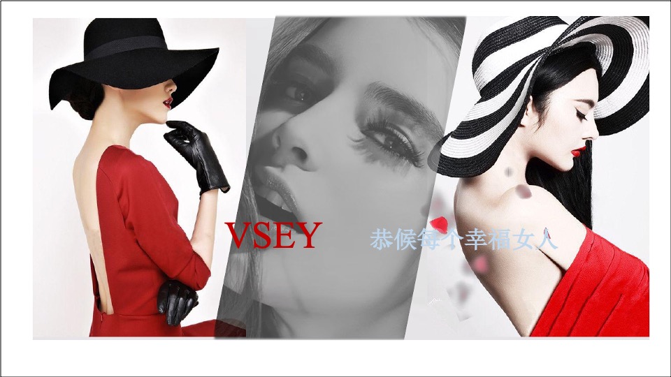 VSEY新品发布会暨周年庆方案