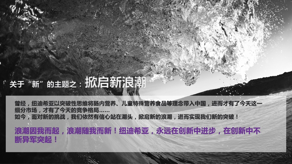 纽迪希亚年会方案