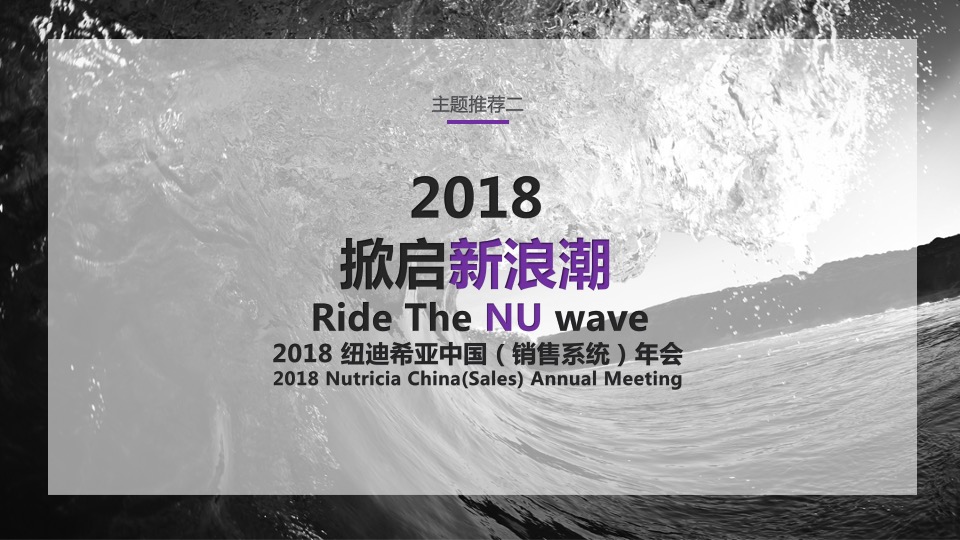 纽迪希亚年会方案