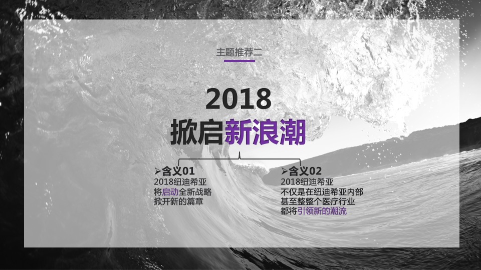 纽迪希亚年会方案