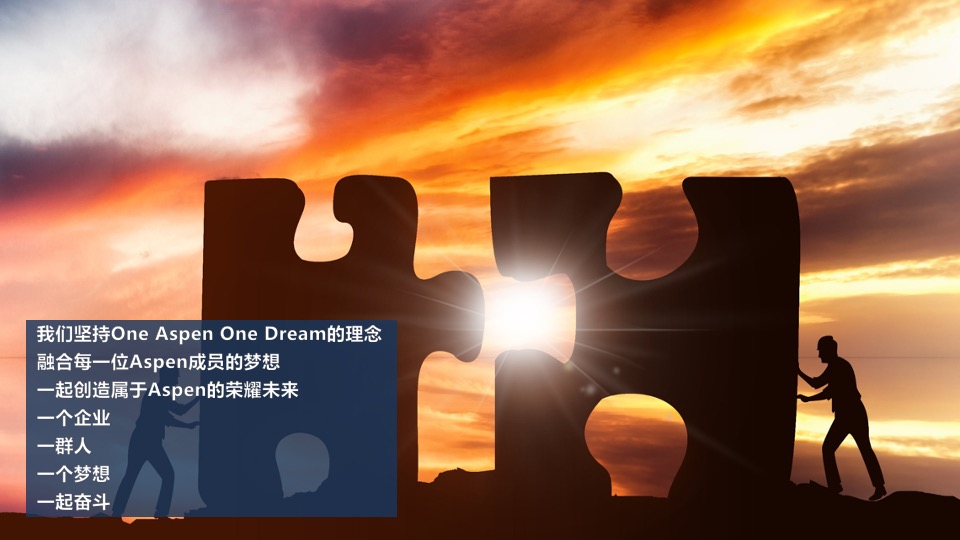 Aspen年会策划方案