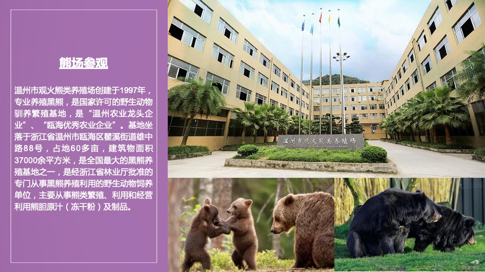 动力火车品牌浙江游艇派对活动策划方案