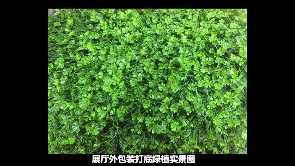 全国青年雕塑邀请赛执行方案