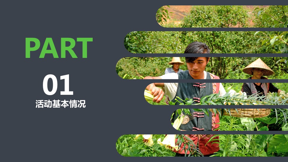 韶关区长代言直播活动策划方案