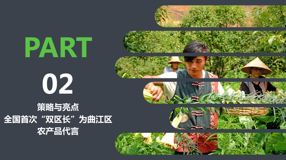 韶关区长代言直播活动策划方案