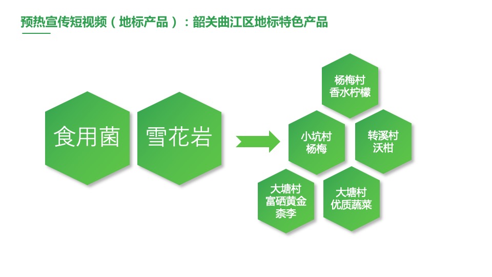 韶关区长代言直播活动策划方案