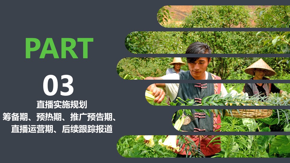 韶关区长代言直播活动策划方案