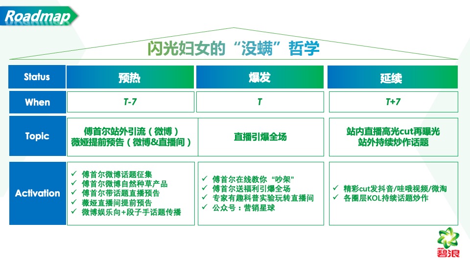 薇娅 x 傅首尔 x 碧浪淘宝直播卖进方案【电商】【快消零售】