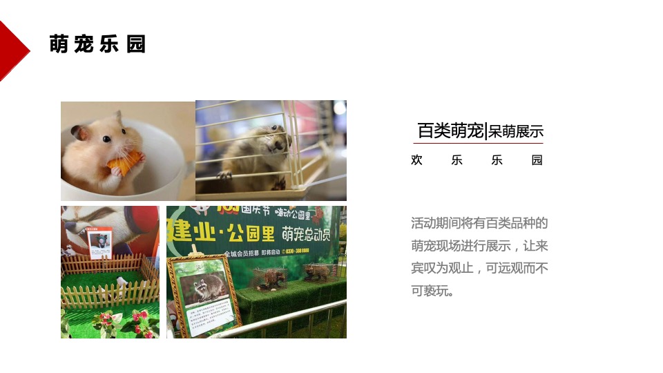 御景滨江花园五一萌宠主题活动思路案