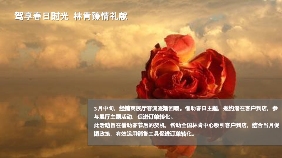 3月林肯驾享春日时光展厅活动执行手册