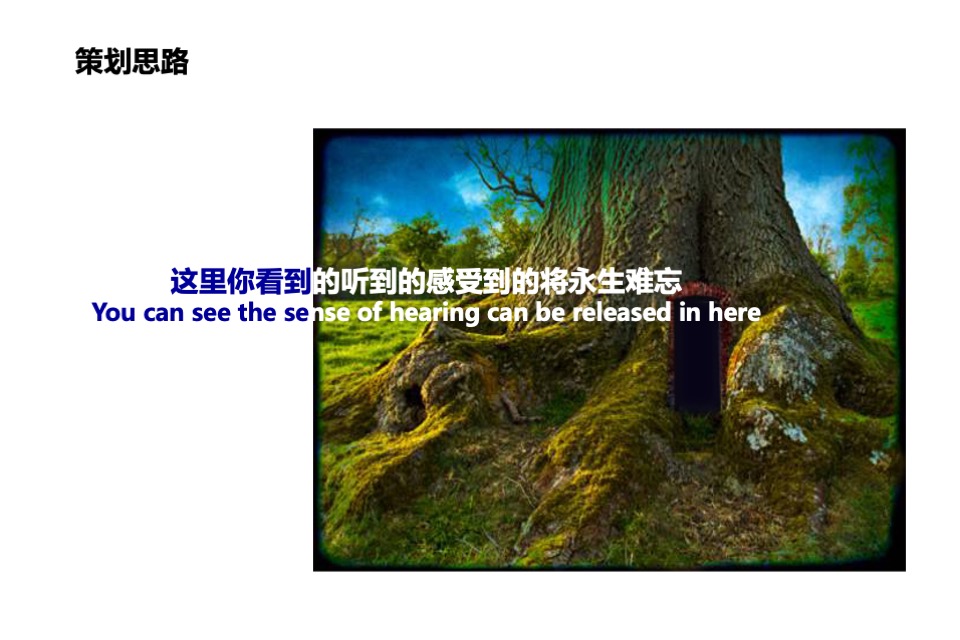 建大领袖魔幻之夜策划案