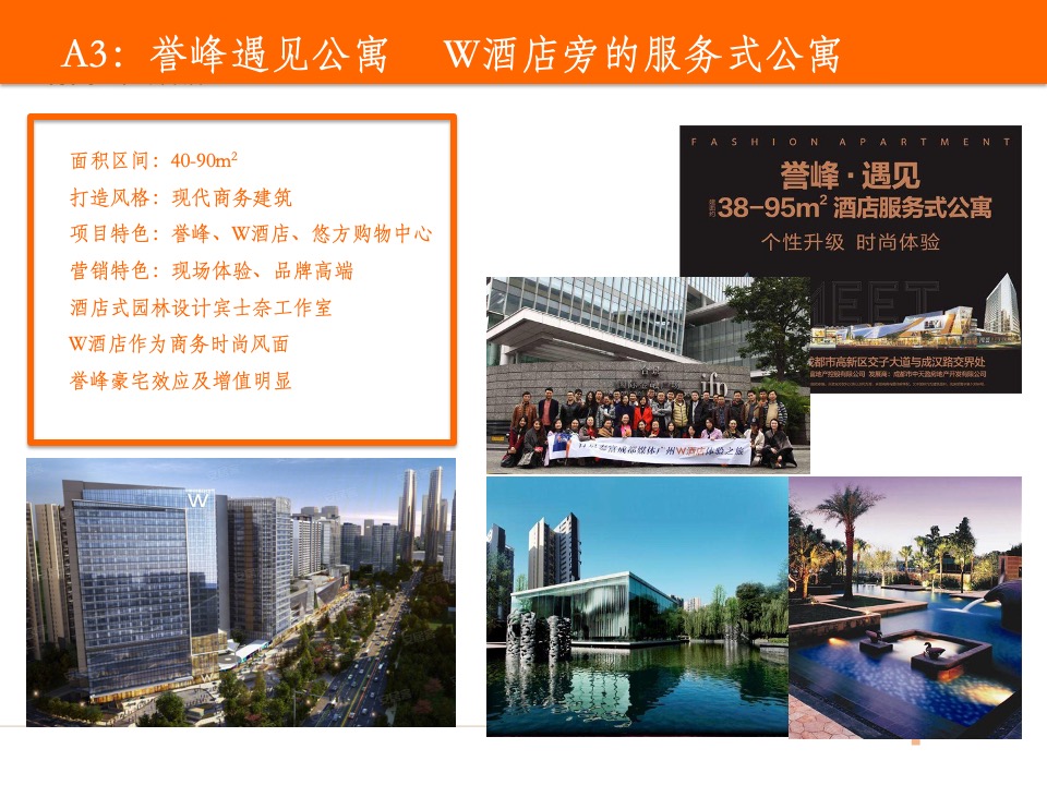 【公寓】成都·远大中央公园四期广告推广方案