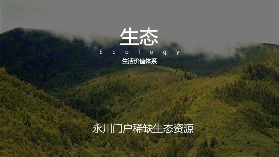 【别墅】白马庄园2020年推广策略思路-96P