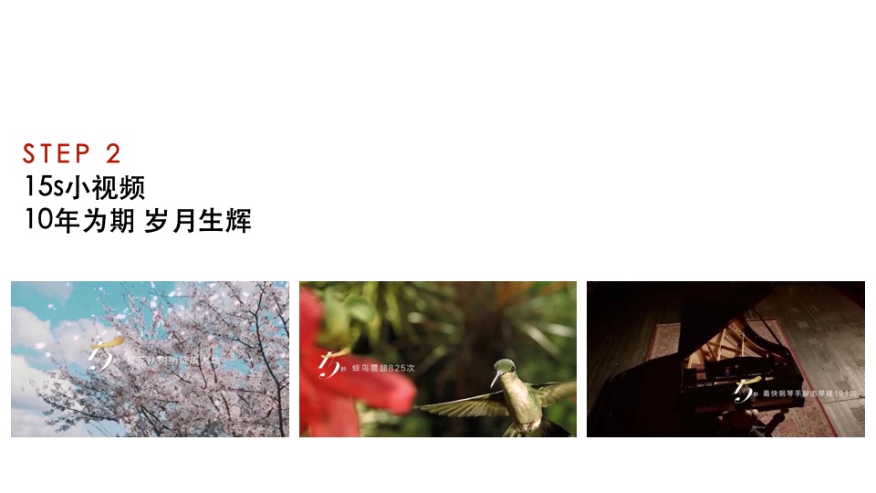 【新媒体】世茂品牌2020年度新媒体运营传播案提报