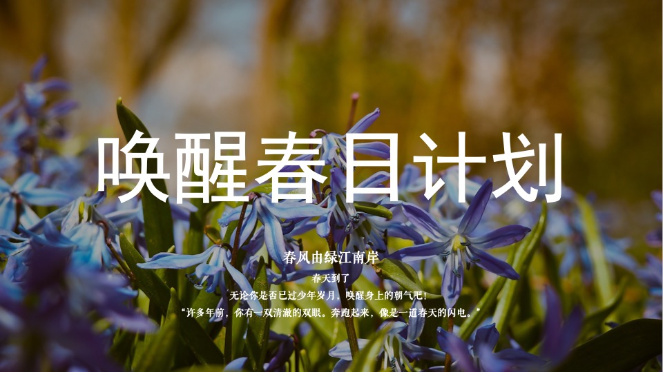 地产项目春季三月月度系列暖场（唤醒春日计划主题）活动策划方案