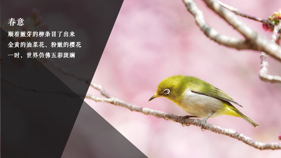 地产项目春季三月月度系列暖场（唤醒春日计划主题）活动策划方案