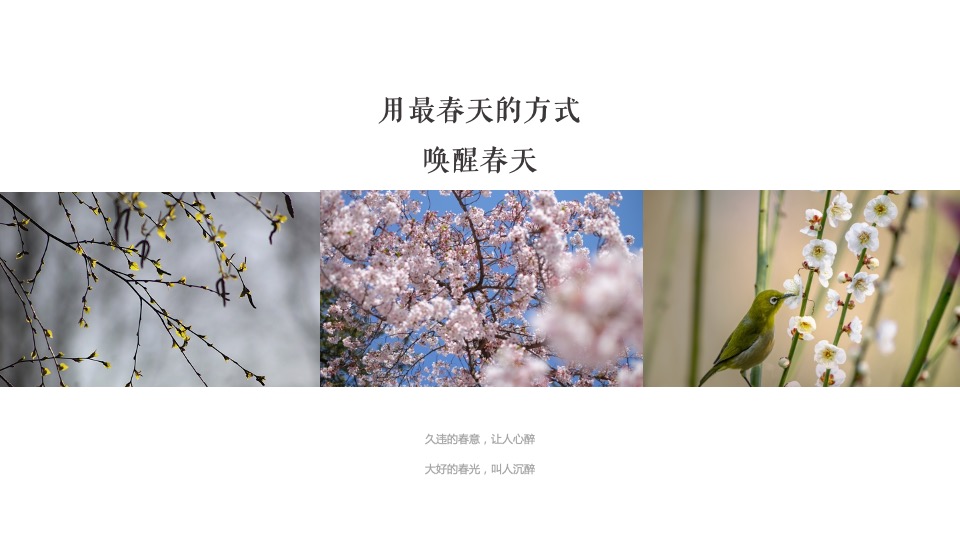 地产项目春季三月月度系列暖场（唤醒春日计划主题）活动策划方案