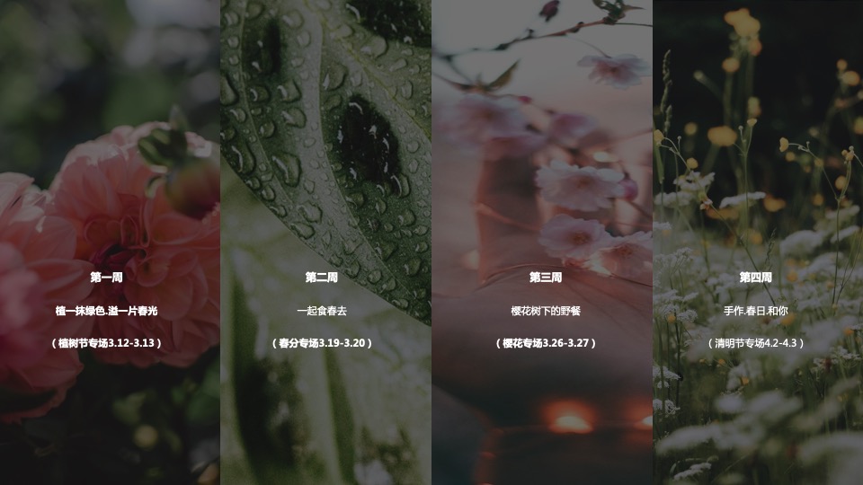 地产项目春季三月月度系列暖场（唤醒春日计划主题）活动策划方案