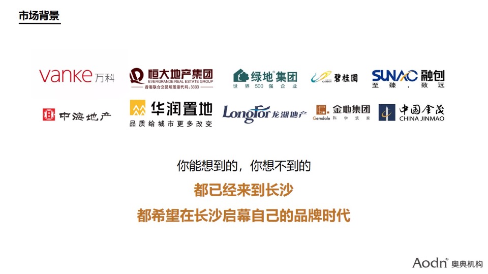 【品牌】湖南保利品牌年度推广方案