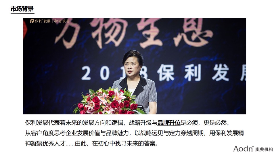 【品牌】湖南保利品牌年度推广方案