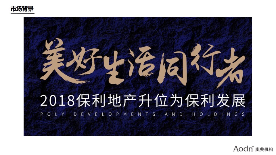 【品牌】湖南保利品牌年度推广方案