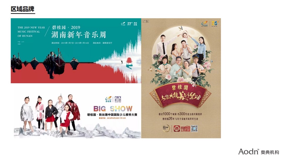 【品牌】湖南保利品牌年度推广方案