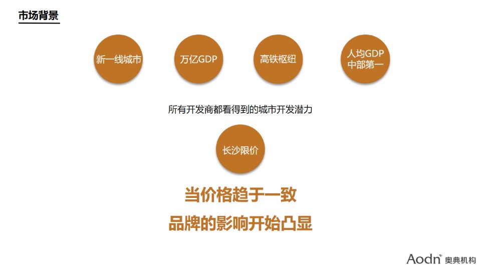 【品牌】湖南保利品牌年度推广方案