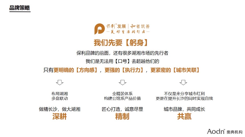 【品牌】湖南保利品牌年度推广方案