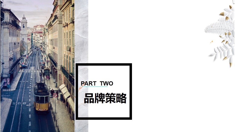 【品牌】湖南保利品牌年度推广方案