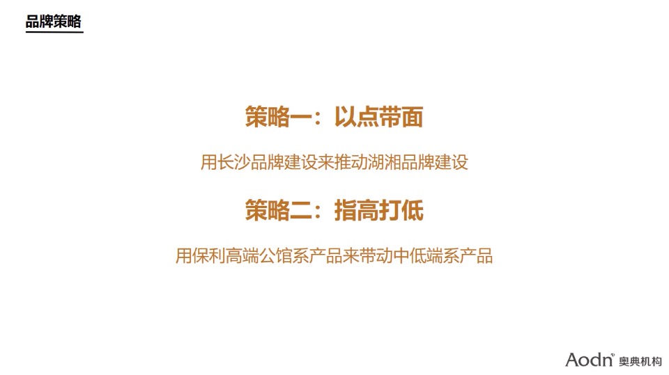 【品牌】湖南保利品牌年度推广方案