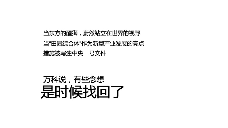 【田园综合体】万科桃源里推广策划案