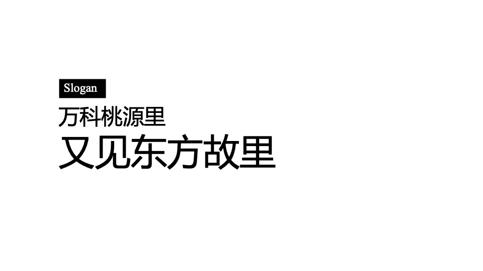 【田园综合体】万科桃源里推广策划案