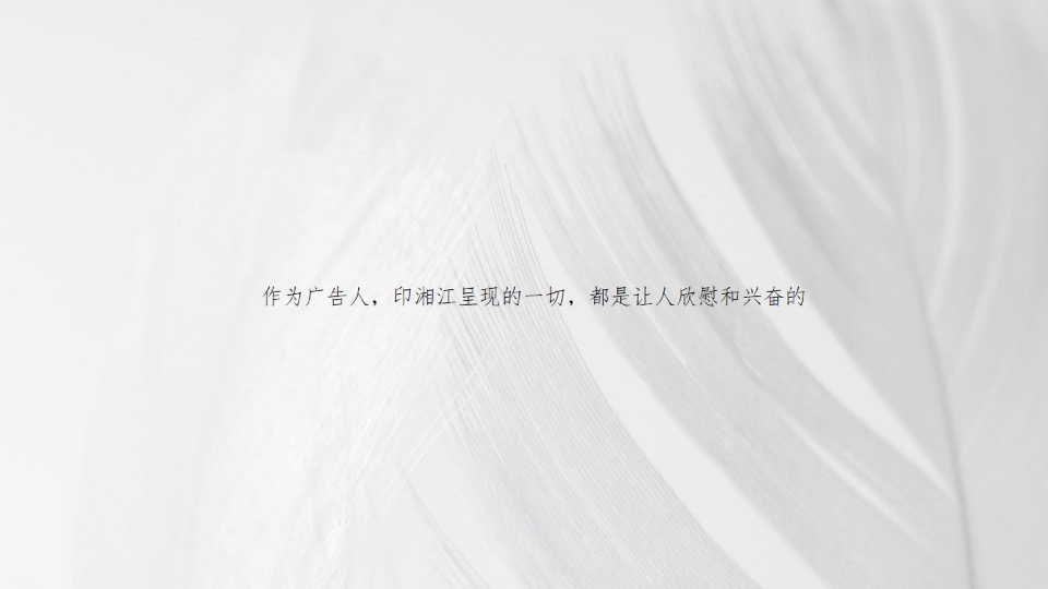 【住宅】长沙印湘江项目推广提报