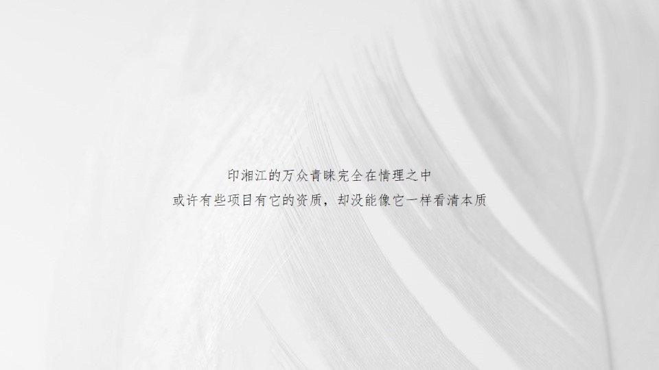 【住宅】长沙印湘江项目推广提报