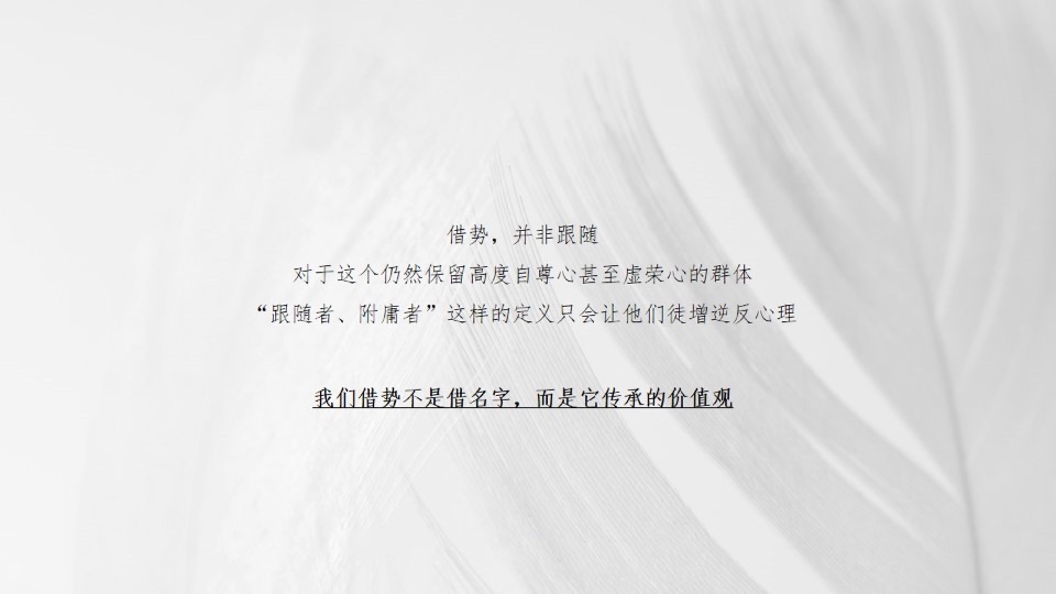 【住宅】长沙印湘江项目推广提报