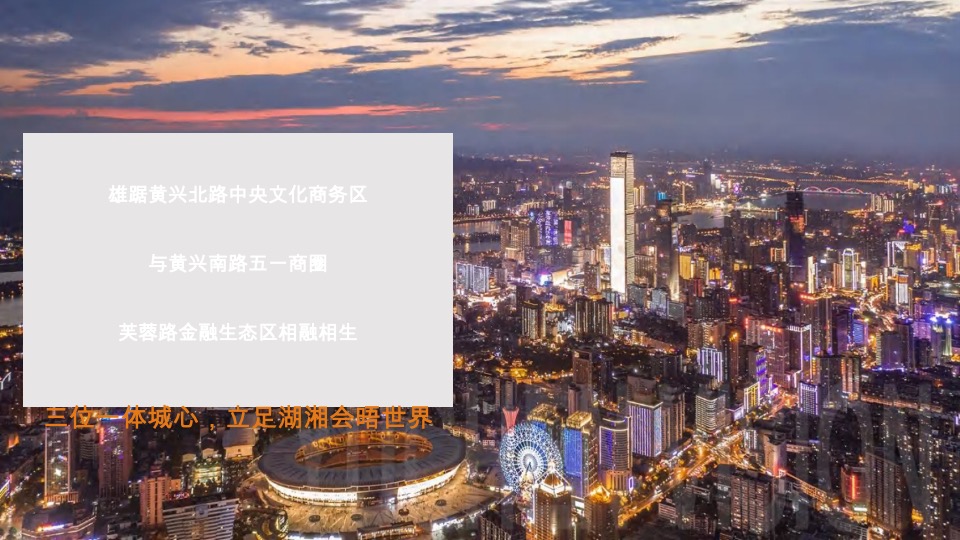 【综合体】华润置地中心推广提报