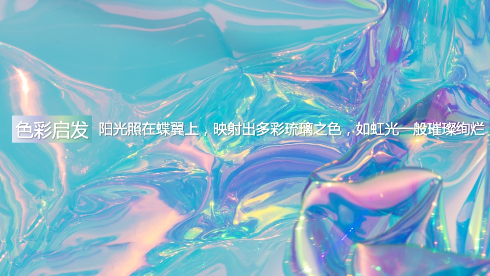 地产项目示范区开放（聚势蝶变 盛境绽放主题）活动策划方案