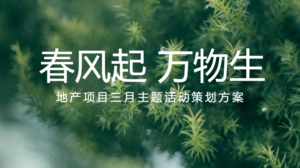 地产项目春季三月月度暖场（春风起·万物生主题）活动策划方案