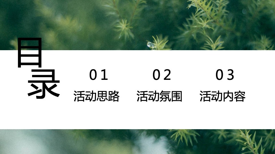 地产项目春季三月月度暖场（春风起·万物生主题）活动策划方案