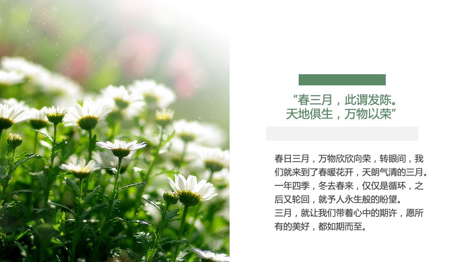 地产项目春季三月月度暖场（春风起·万物生主题）活动策划方案